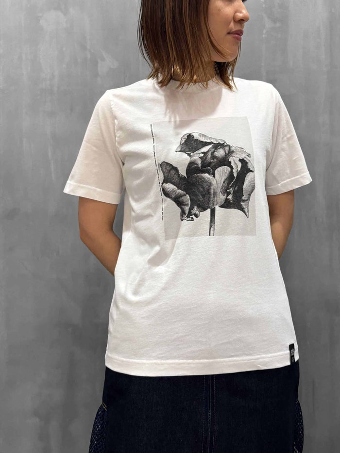 DOUBLE STANDARD CLOTHING(ダブルスタンダードクロージング)|レアルツイスト フォトプリント天竺Tシャツ|0208-380-261